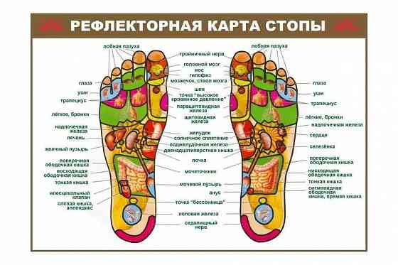 Массажер для ног шиацу с подогревом от сети электрический Sanitas Запорожье