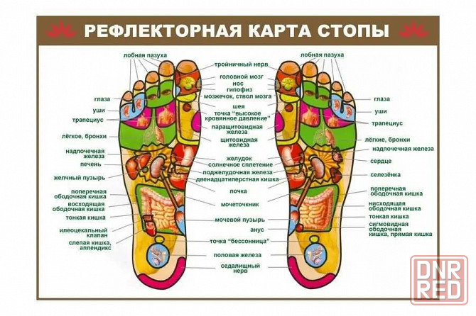 Массажер для ног шиацу с подогревом от сети электрический Sanitas Запорожье - изображение 2
