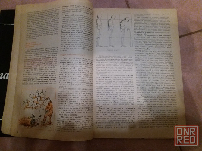 Продам журнал "здоровье 1989г" Донецк - изображение 6