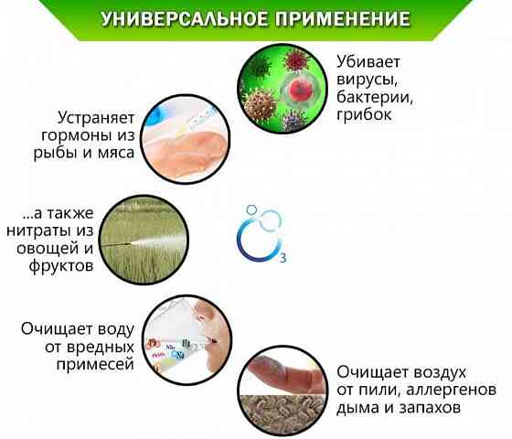 Озонатор ионизатор 300м.грамм реактор КЕРАМИЧЕСКИЙ очиститель воздуха Запорожье