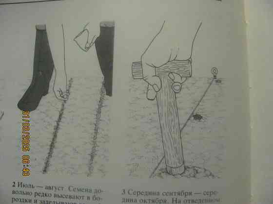 Овощные культуры йод, Биггс Донецк