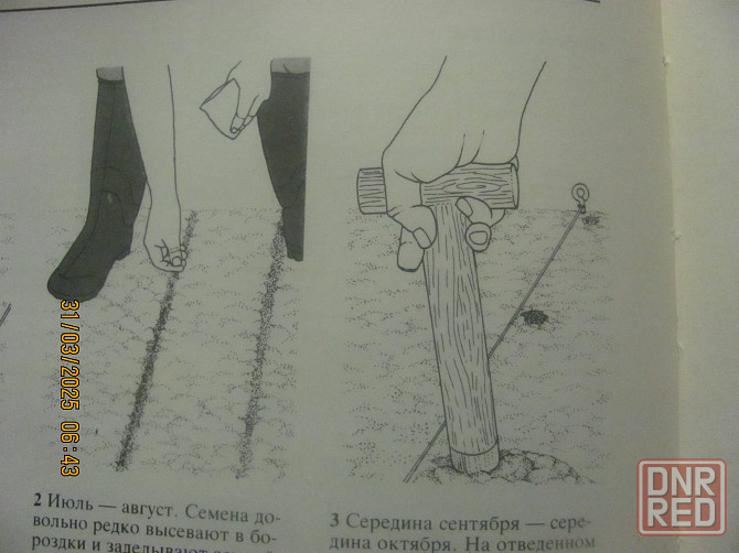 Овощные культуры йод, Биггс Донецк - изображение 1