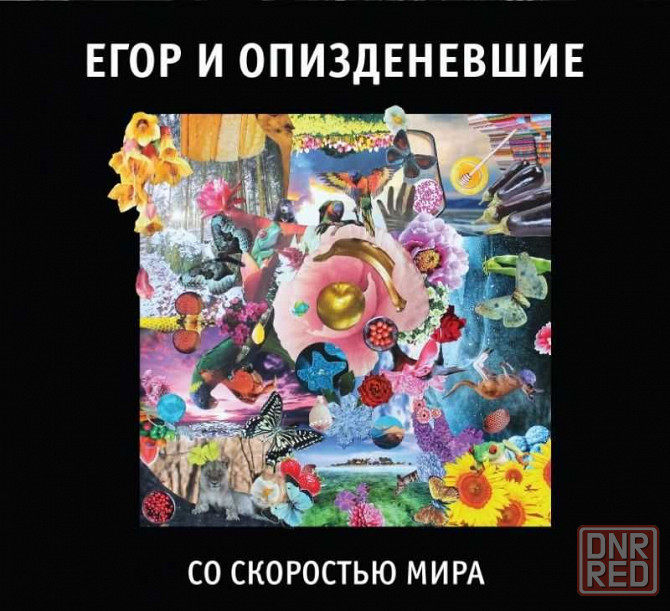В наличии и под Заказ новые CD, LP Гражданская оборона (Летов), Янка. Запорожье - изображение 8