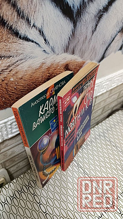 Семёнова карма вашего дома, тайные силы маятника цена за 2 книги Херсон - изображение 2