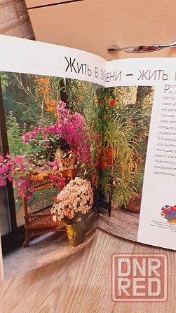 1000 прекрасных растений в вашем доме Херсон - изображение 3