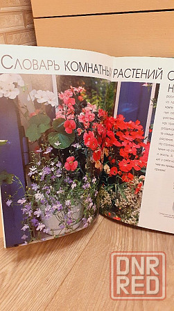 1000 прекрасных растений в вашем доме Херсон - изображение 4