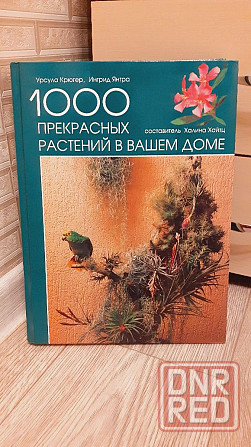 1000 прекрасных растений в вашем доме Херсон - изображение 1