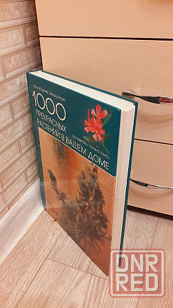 1000 прекрасных растений в вашем доме Херсон - изображение 2