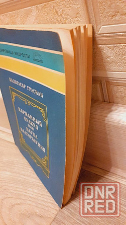 Карманный оракул или наука благоразумия  Бальтасар Г Херсон - изображение 2