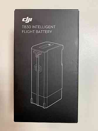 Акумулятор для DJI Matrice 30 Series Intelligent Flight Battery TB30 Запорожье