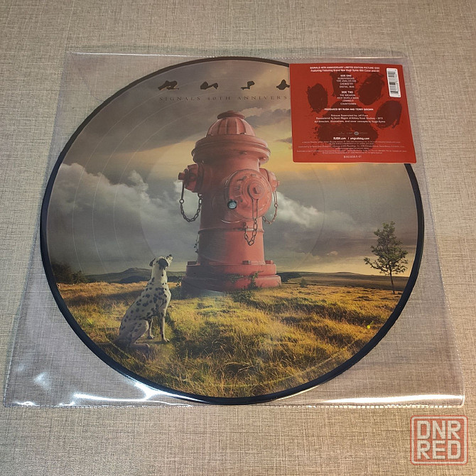 RUSH : Signals PICTURE VINYL / Винил Пластинка Виниловая пластинка Vinyl Запорожье - изображение 1