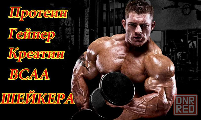 АКЦИЯ! Гейнер Max Muscle 2кг + ПОДАРОК! Есть Протеин, Креатин, ВСАА Запорожье - изображение 6