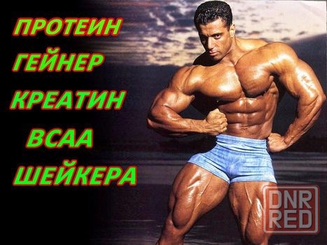 Для МЫШЦ! ВСАА ProLab Nutrition 2:1:1 500g+ПОДАРОК! Есть Протеин, ВСАА Запорожье - изображение 5