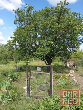 Продам садоводческий участок в черте города Донецк - изображение 2