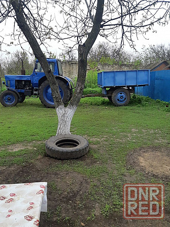 Продам мтз 80 в гарном стани Великая Александровка - изображение 3