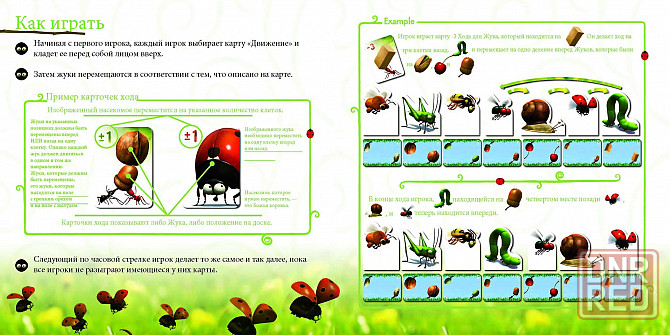 Настольная игра Букашки 2-6 игроков Запорожье - изображение 7