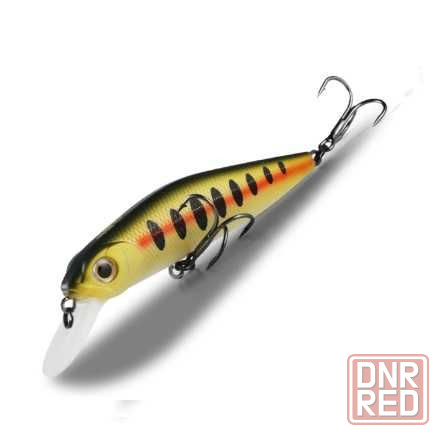Новинка! BearKing CrackJack 78SP-SR,DR (Pontoon 21 CrackJack 78) Запорожье - изображение 8