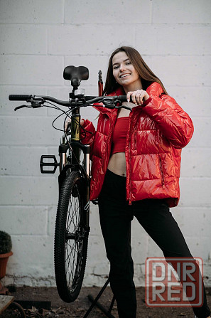 Электронабор для велосипеда Bafang BBS 02B 750w с18 48v электровелосип Запорожье - изображение 2
