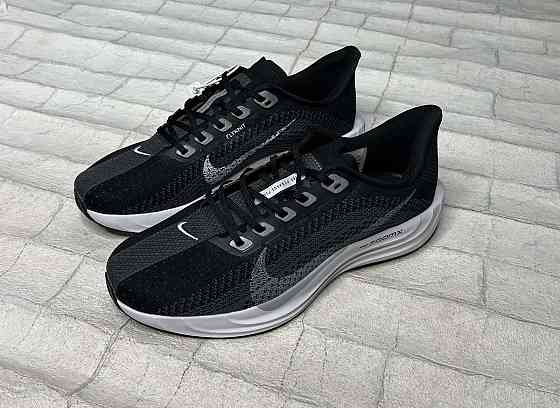 Кроссовки Nike Pegasus Plus 7261 Запорожье