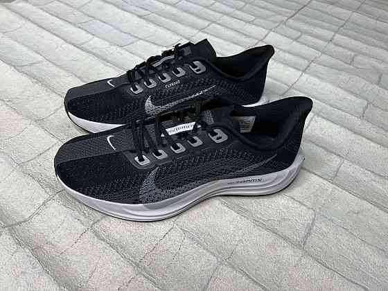 Кроссовки Nike Pegasus Plus 7261 Запорожье