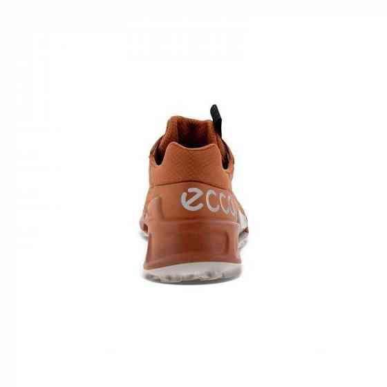 Кроссовки Ecco BIOM 21 W. Оригинал. р 37 Запорожье