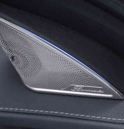 Металлические накладки на сетки динамиков Burmester C-Class W205 Запорожье