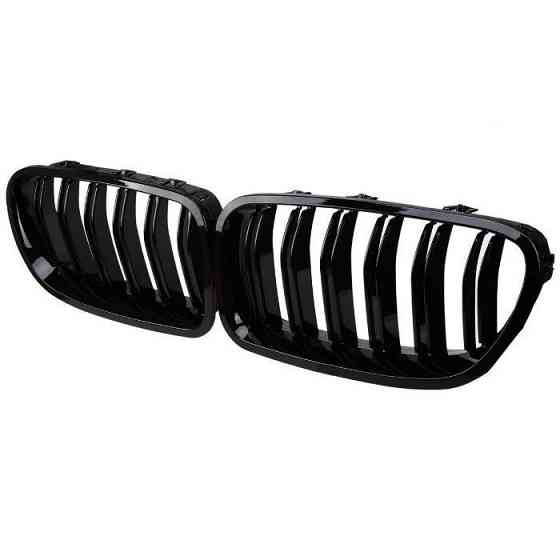 Ноздри гриль решетка бмв BMW е39e60f30f10e70f25f15g30g01f20е46 Запорожье