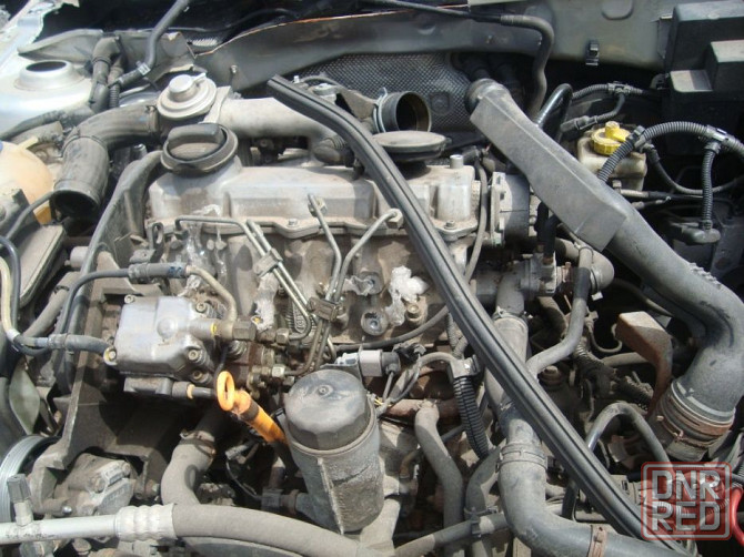Двигатель 1.6 AKL BFQ AVU BCB 1.9TDI AGR ASV AHF мотор турбина Запорожье - изображение 4