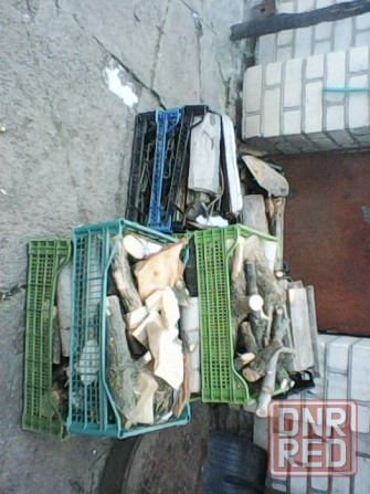 Продам поддоны и дрова Херсон - изображение 3