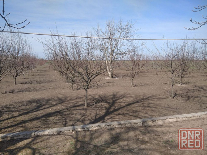 Продам-Обменяю ферму в Николаеве Херсон - изображение 3