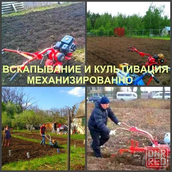 Спилю, кронирую, обрежу деревья, уборка участка, ветки, культивация Запорожье - изображение 5