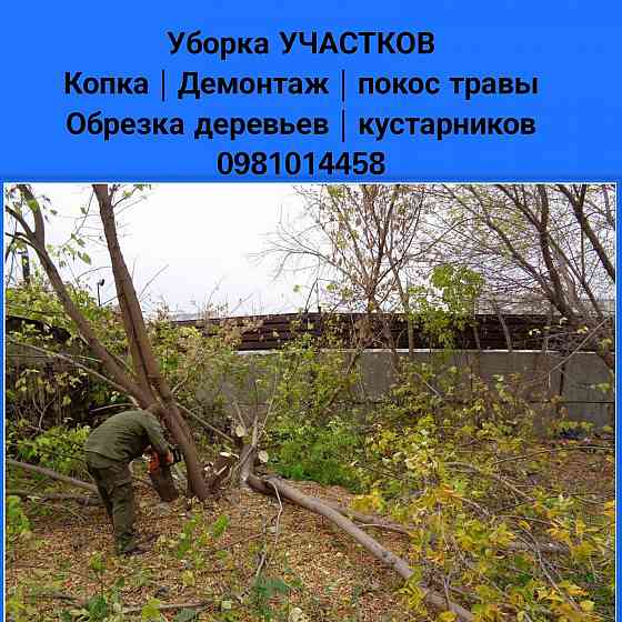 МУЖ/Мастер на ЧАС Уборка участка вынос мусора| Демонтаж Разнорабочий Запорожье