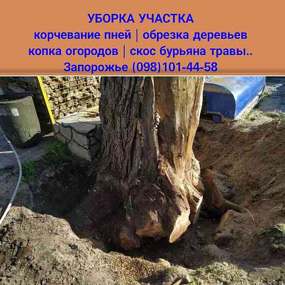 МУЖ/Мастер на ЧАС Уборка участка вынос мусора| Демонтаж Разнорабочий Запорожье