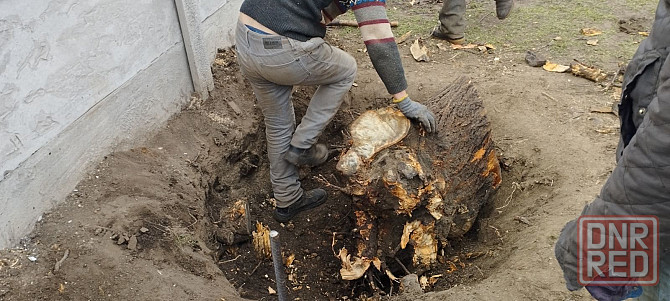 Уборка участка,дробление веток,спил деревьев,корчевка ,покос травы Запорожье - изображение 3