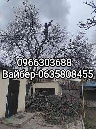 Профессиональный спил деревьев Запорожье