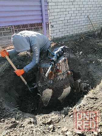 Уборка участка под ключ, покос травы, спил деревьев, корчевка пней Запорожье - изображение 5