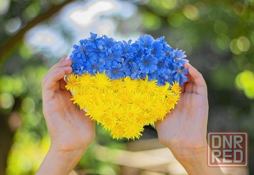 Предлагаю услуги сиделки (Бабурка) Запорожье - изображение 2