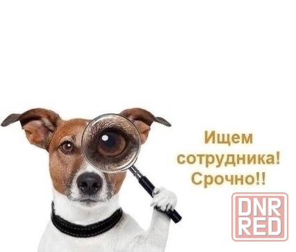 Требуется повар в ресторан Донецк - изображение 1